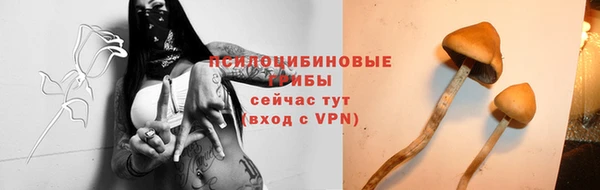 крисы Касимов