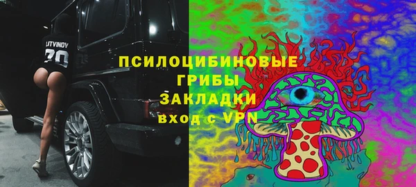 крисы Касимов