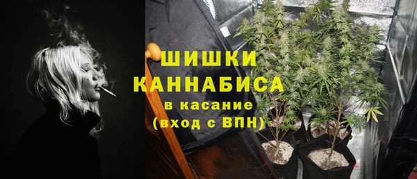 крисы Касимов