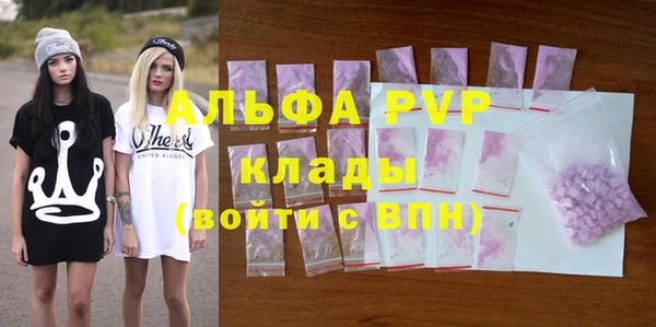 крисы Касимов