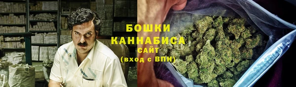 крисы Касимов