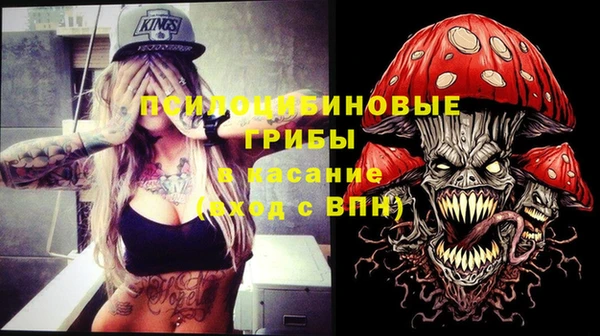 а пвп мука Карпинск